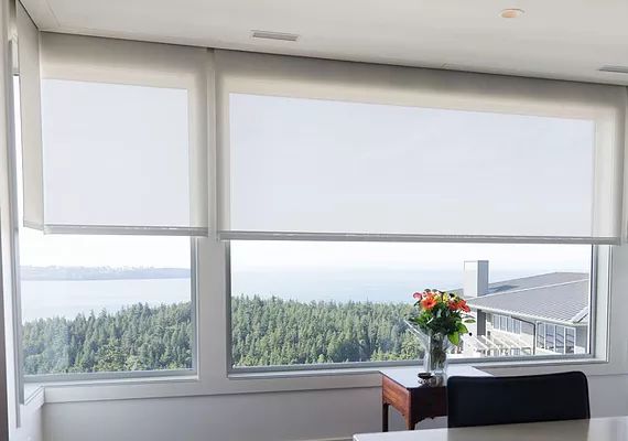 Motorized Shades Image